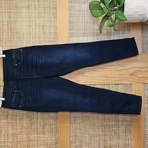 Spanx Signature Waist Back Zip Skinny Jeans 32